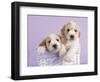 Ava and Ella-Rachael Hale-Framed Art Print