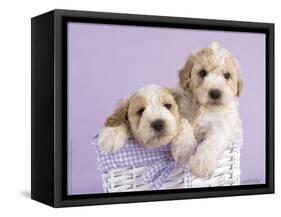 Ava and Ella-Rachael Hale-Framed Stretched Canvas