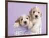 Ava and Ella-Rachael Hale-Framed Premium Giclee Print