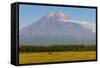 Avachinskaya Sopka Volcano Near Petropavlovsk-Kamchatsky, Kamchatka, Russia, Eurasia-Michael-Framed Stretched Canvas