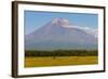 Avachinskaya Sopka Volcano Near Petropavlovsk-Kamchatsky, Kamchatka, Russia, Eurasia-Michael-Framed Photographic Print