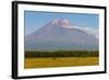 Avachinskaya Sopka Volcano Near Petropavlovsk-Kamchatsky, Kamchatka, Russia, Eurasia-Michael-Framed Photographic Print