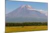 Avachinskaya Sopka Volcano Near Petropavlovsk-Kamchatsky, Kamchatka, Russia, Eurasia-Michael-Mounted Photographic Print