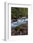 Avalanche Creek in Glacier National Park, Montana, USA-Chuck Haney-Framed Photographic Print