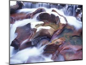 Avalanche Creek in Winter, Glacier National Park, Montana, USA-Chuck Haney-Mounted Photographic Print