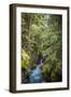 Avalanche Creek, Landscape, Flume, stream-Yitzi Kessock-Framed Photographic Print