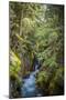 Avalanche Creek, Landscape, Flume, stream-Yitzi Kessock-Mounted Photographic Print