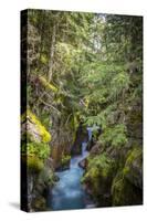 Avalanche Creek, Landscape, Flume, stream-Yitzi Kessock-Stretched Canvas