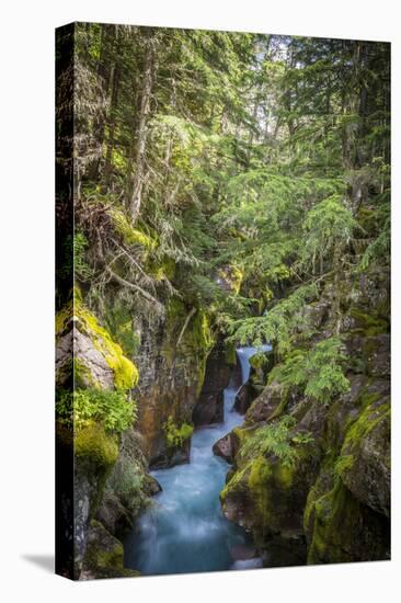 Avalanche Creek, Landscape, Flume, stream-Yitzi Kessock-Stretched Canvas