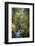 Avalanche Creek, Landscape, Flume, stream-Yitzi Kessock-Framed Photographic Print