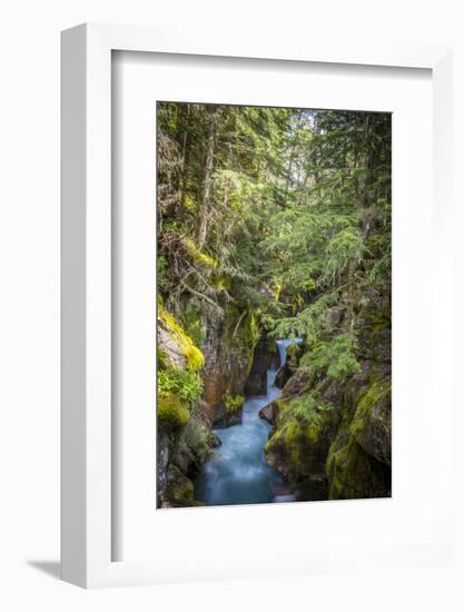 Avalanche Creek, Landscape, Flume, stream-Yitzi Kessock-Framed Photographic Print