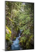 Avalanche Creek, Landscape, Flume, stream-Yitzi Kessock-Mounted Photographic Print