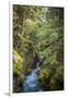 Avalanche Creek, Landscape, Flume, stream-Yitzi Kessock-Framed Photographic Print