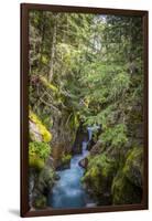 Avalanche Creek, Landscape, Flume, stream-Yitzi Kessock-Framed Photographic Print