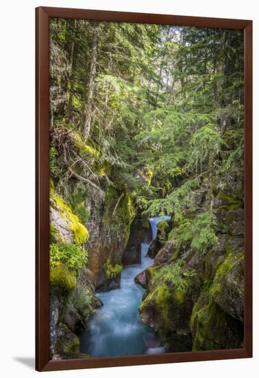 Avalanche Creek, Landscape, Flume, stream-Yitzi Kessock-Framed Photographic Print