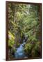 Avalanche Creek, Landscape, Flume, stream-Yitzi Kessock-Framed Photographic Print