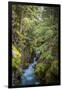 Avalanche Creek, Landscape, Flume, stream-Yitzi Kessock-Framed Photographic Print