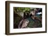 Avalanche Creek-Jason Savage-Framed Art Print