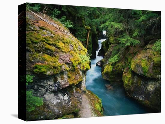 Avalanche Creek-James Randklev-Stretched Canvas