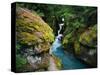 Avalanche Creek-James Randklev-Stretched Canvas