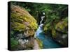 Avalanche Creek-James Randklev-Stretched Canvas