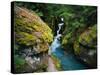 Avalanche Creek-James Randklev-Stretched Canvas