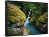 Avalanche Creek-James Randklev-Framed Stretched Canvas