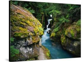 Avalanche Creek-James Randklev-Stretched Canvas