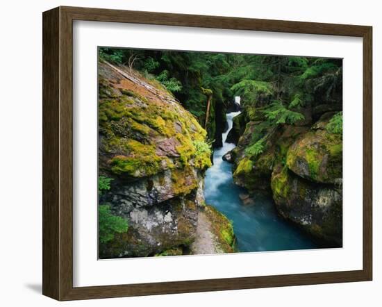 Avalanche Creek-James Randklev-Framed Premium Photographic Print