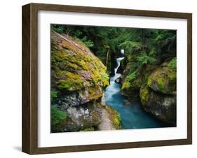 Avalanche Creek-James Randklev-Framed Premium Photographic Print