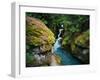 Avalanche Creek-James Randklev-Framed Premium Photographic Print