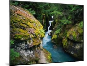 Avalanche Creek-James Randklev-Mounted Premium Photographic Print