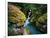 Avalanche Creek-James Randklev-Framed Photographic Print