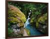 Avalanche Creek-James Randklev-Framed Photographic Print