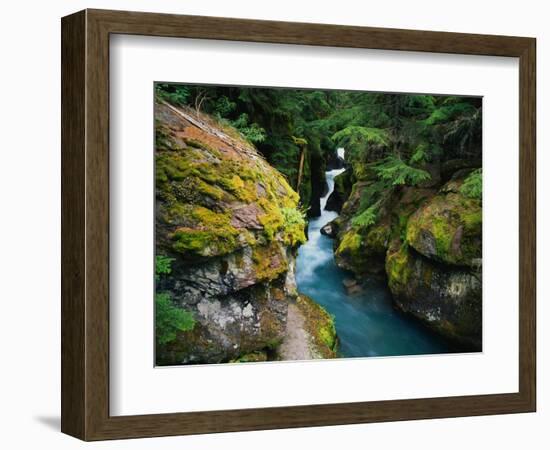 Avalanche Creek-James Randklev-Framed Photographic Print