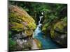 Avalanche Creek-James Randklev-Mounted Photographic Print