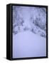 Avalanche, Everest-Michael Brown-Framed Stretched Canvas