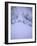 Avalanche, Everest-Michael Brown-Framed Photographic Print