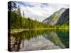 Avalanche Lake, Glacier National Park, Montana, USA-Jamie & Judy Wild-Stretched Canvas