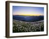 Avalanche Lilies (Erythronium Montanum) at Sunset, Olympic Nat'l Park, Washington, USA-Gary Luhm-Framed Premium Photographic Print