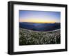 Avalanche Lilies (Erythronium Montanum) at Sunset, Olympic Nat'l Park, Washington, USA-Gary Luhm-Framed Photographic Print