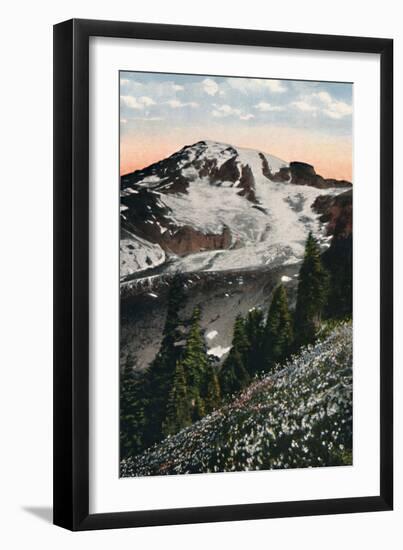 'Avalanche Lilies, growing on Mount Rainier', c1916-Asahel Curtis-Framed Premium Photographic Print