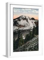 'Avalanche Lilies, growing on Mount Rainier', c1916-Asahel Curtis-Framed Photographic Print