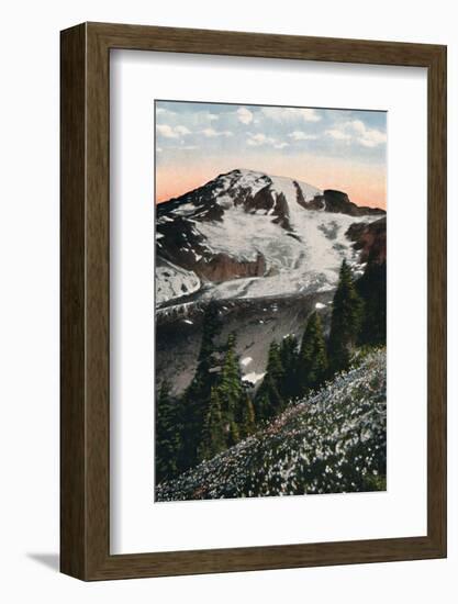 'Avalanche Lilies, growing on Mount Rainier', c1916-Asahel Curtis-Framed Photographic Print