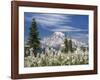 Avalanche Lilies II-Don Paulson-Framed Giclee Print
