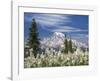 Avalanche Lilies II-Don Paulson-Framed Giclee Print