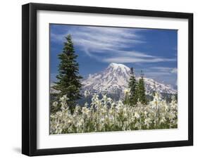 Avalanche Lilies II-Donald Paulson-Framed Giclee Print