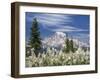 Avalanche Lilies II-Donald Paulson-Framed Giclee Print