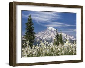 Avalanche Lilies II-Donald Paulson-Framed Giclee Print