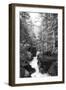 Avalanche Trail-Lori Deiter-Framed Art Print